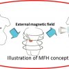 fig1b_mfh_scheme