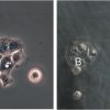 fig3_uptake